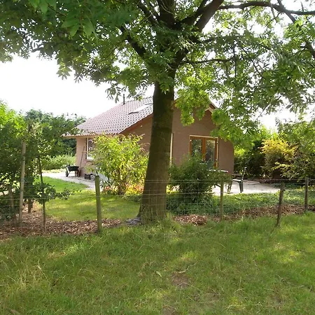 Holiday Vakantiehuisjes De Betuwe 2 Holiday home Kesteren